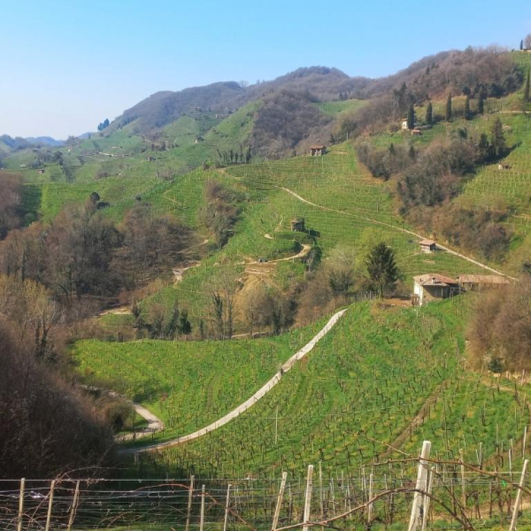 Rolling vineyard valleys and winding paths along the prosecco trails of Veneto Alt: