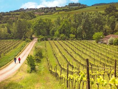 CINQUE TERRE & VIA FRANCIGENA LUCCA TO SIENA Self-Guided
