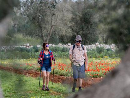 VIA FRANCIGENA FINISTERRE